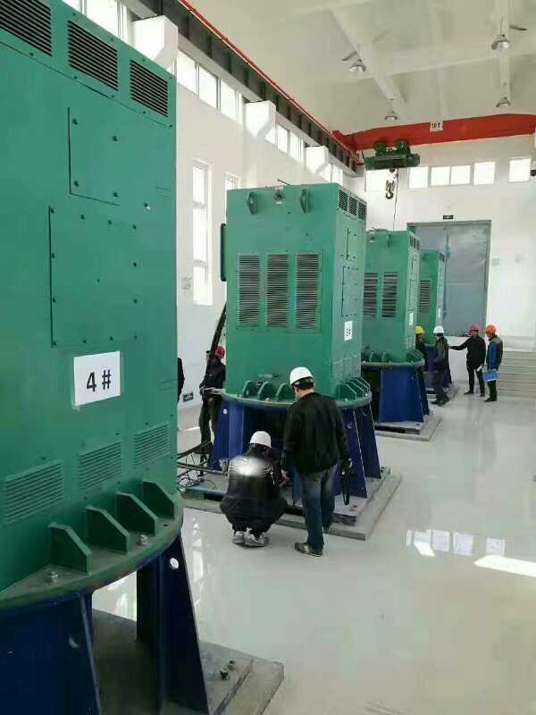 YR4003-6/250KW某污水处理厂使用我厂的立式高压电机安装现场
