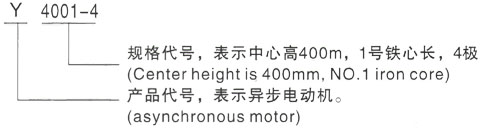 西安泰富西玛Y系列(H355-1000)高压YR4003-6/250KW三相异步电机型号说明